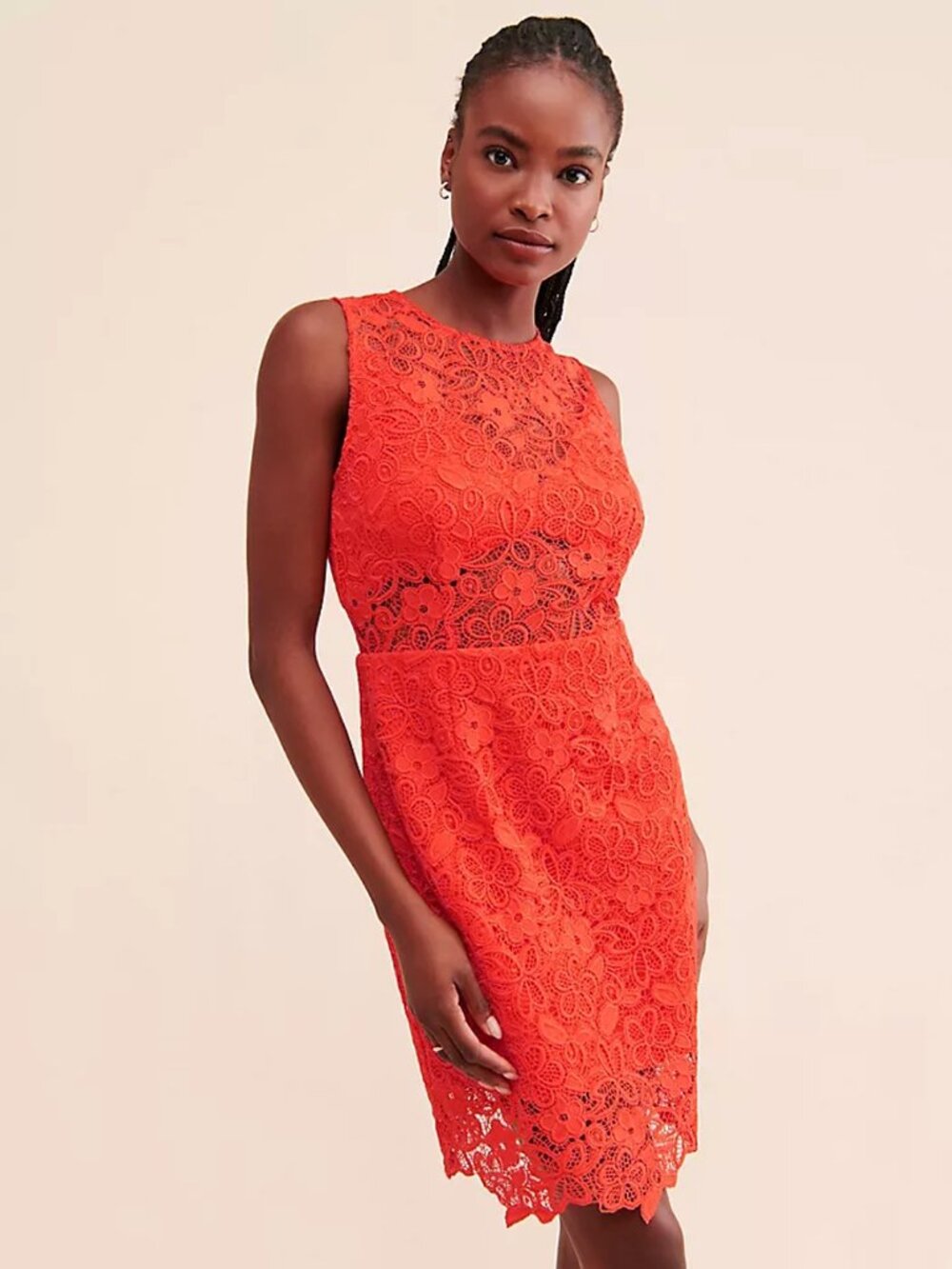 Nwt New $238 Hutch Floral Lace Sheer Mini Dress Size 16w